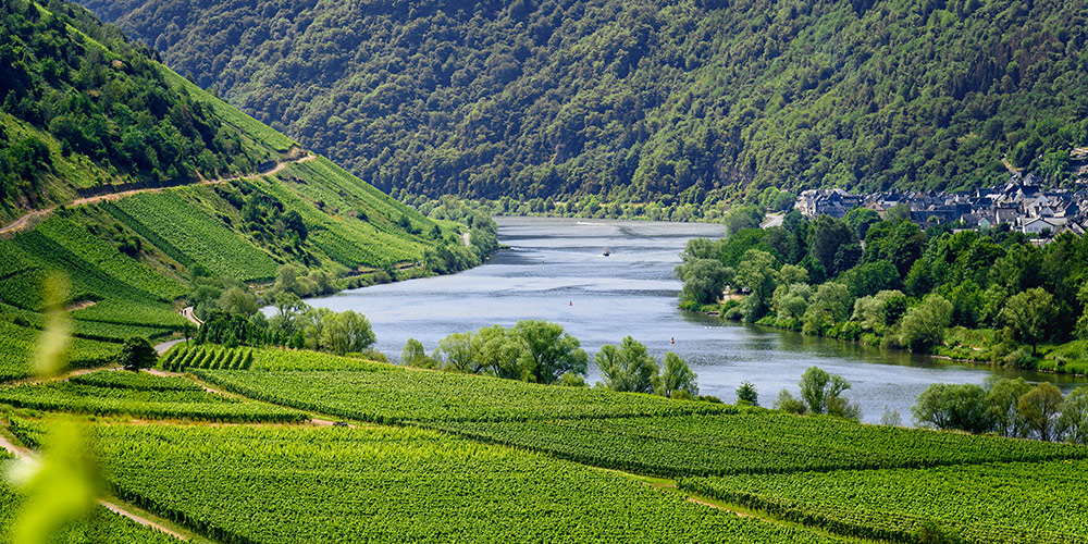 Mosel 
